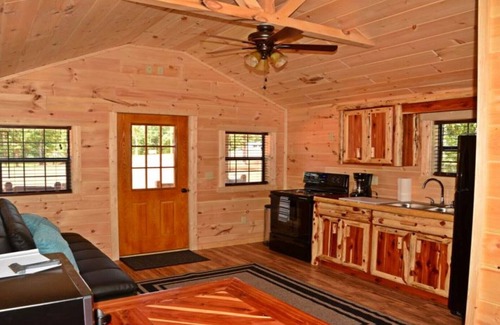Buchanan House | Swan Bay Cabins & RV Park Cabin#(4) Paris Tn, Kentucky Lake