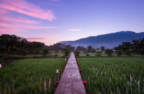 Pong Yaeng Resort | Swankiri Resort สวอนคีรี รีสอร์ท