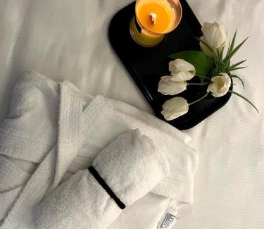 Mali Radic Hotel | Swiss Plus Hotel