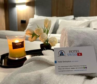 Mali Radic Hotel | Swiss Plus Hotel