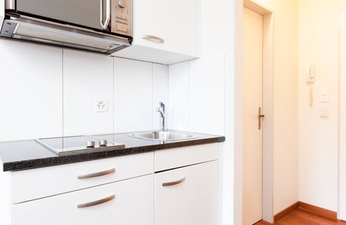 Gewerbeschule House | Swiss Star Longstreet