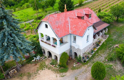 Sumeg House | Tér Pince