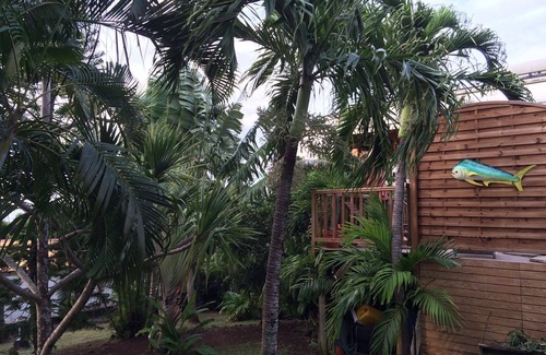 Deshaies Apartment | T3 Montana 2, DESHAIES, 350 m Grande Anse, 5/7 people, 2 bedrooms + living room, terrace.