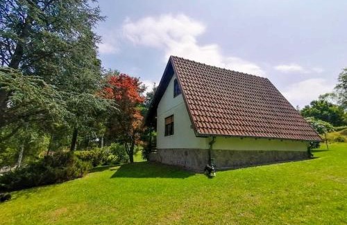 Central Serbia House | Takovo - odmor u selu
