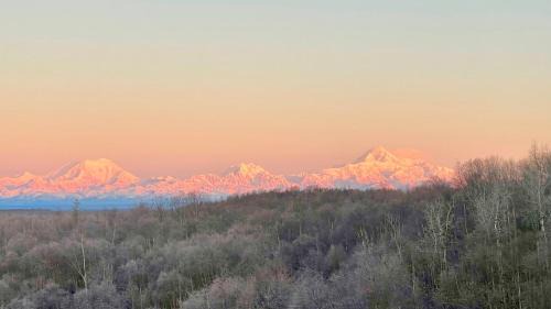 Susitna North Cabin | Talkeetna Denali View Lodge and Cabins