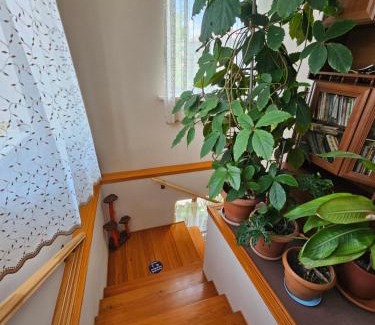 Telavi House | Tamari Guest House