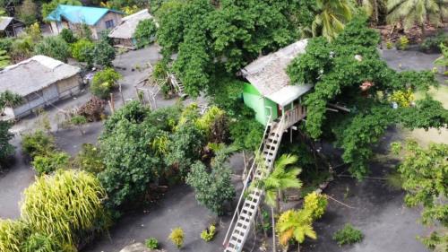 Tanna Island Cabin | Tanna Volcano View Tree House