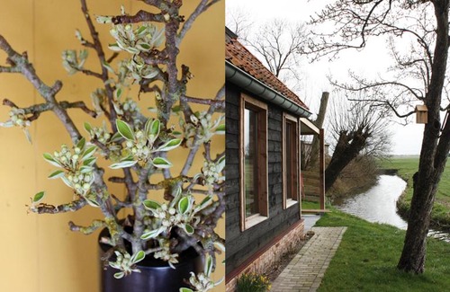 Wytgaard House | Tante W