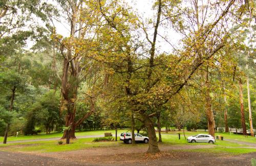 Tarra Valley Other | Tarra Valley Retreat