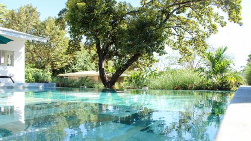 Tamarindo Bed & Breakfast | Tee-K Lodge Tamarindo