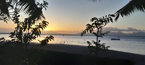 Punaauia House | Tehei Beach House Wifi AC Beachfront Sunset