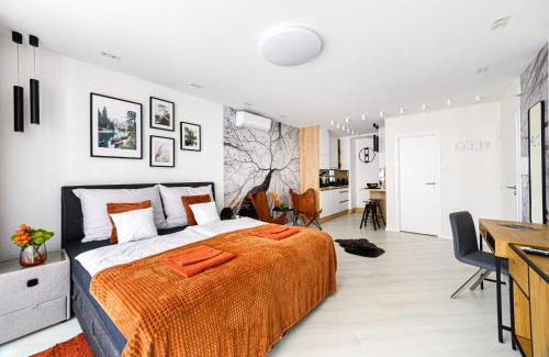 Gyor Apartment | TELEKI40 Apartman Győr CENTRAL, FREE PARKING, TERRACE