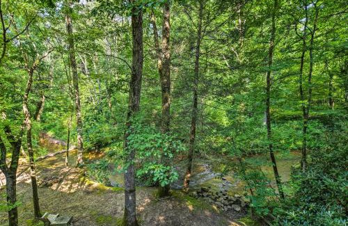 Madisonville House | Tellico Plains Cabin - 25 Acres, Backyard Creek!