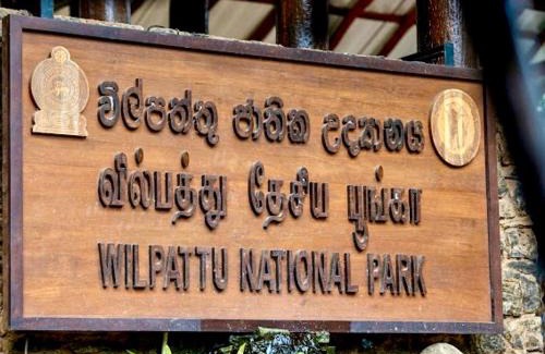 Nochchiyagama Cabin | TEMBO Cottage Wilpattu