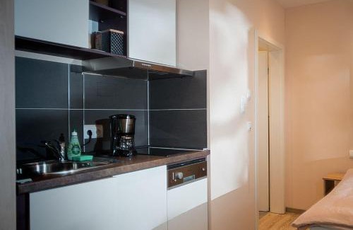 Marktheidenfeld Apartment | TENNENBODEN-Komfort-DZ-die-ehemalige-Tenne-in-der-Hofstallung