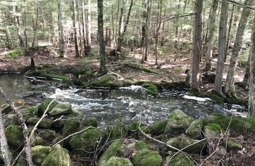 Lyndeborough RV Rental | Tentrr Signature Site - Wally Meadows at Purgatory Falls