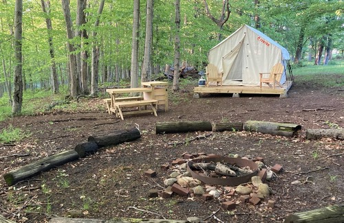 Honeoye Falls RV Rental | Tentrr Signature Site - Fern Gully