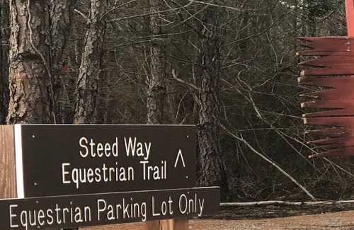 Talisheek RV Rental | Tentrr State Park Site - Louisiana Bogue Chitto State Park - Stableside J - Doub