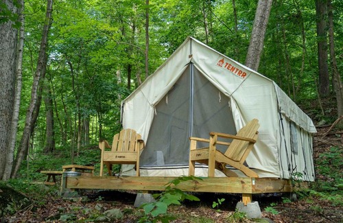 Staatsburg Other | Tentrr State Park Site - Mills Norrie State Park Site B