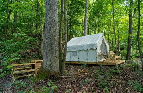 Staatsburg Other | Tentrr State Park Site - Mills Norrie State Park Site B