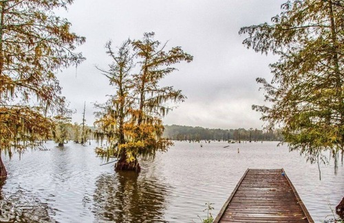 Saint Landry RV Rental | Tentrr State Park Site - Louisiana Chicot State Park - Site D - Single Camp