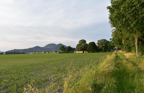 Este House | TENUTA BORGATO MORELLI