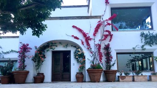 Galatone House | Tenuta DonnAnna Agriturismo&Glamping