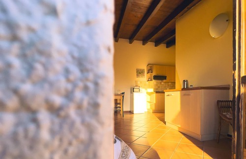 Vesime Other | Tenuta MonteOliveto