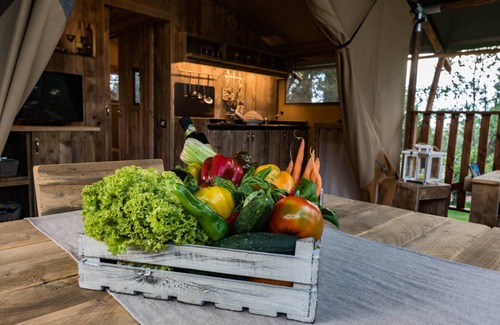 Piombino RV Rental | Tenuta Poggio Rosso Glamping