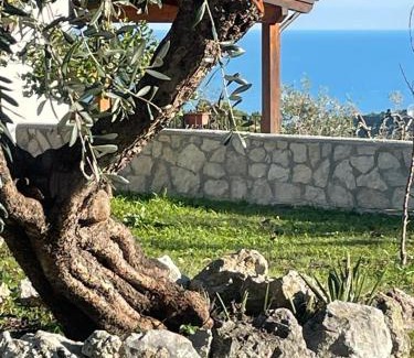 Peschici Villa | Tenuta Solleone