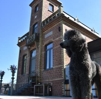 Poperinge Bed & Breakfast | Terp