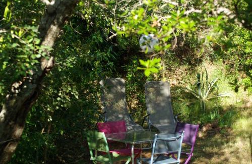Santo Estevao House | Terra das Delicias
