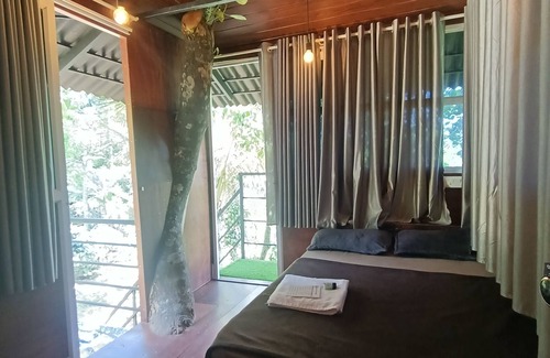 Mananthavady Other | Terrace House