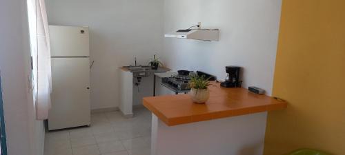 Amecameca Apartment | Terraza Amecameca