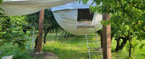 Spresiano Other | terrebioSatellite