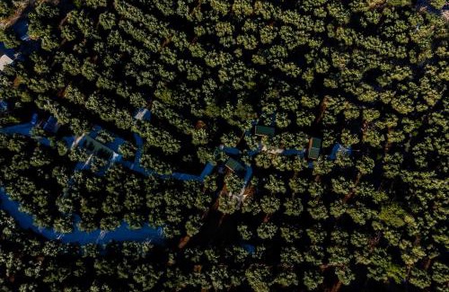 Varvara House | Thalassa Green