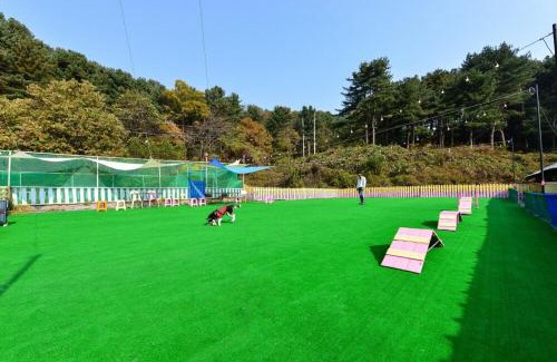 Seorak House | Thank you dog pet pension