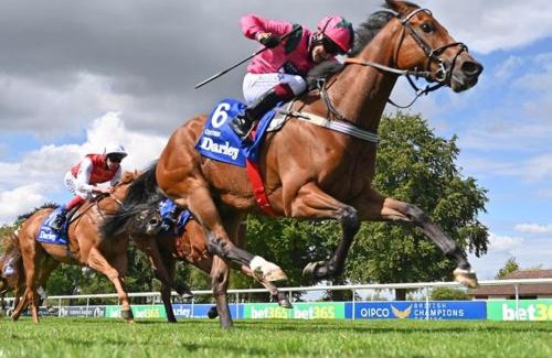 Mildenhall Apartment | The Annexe II