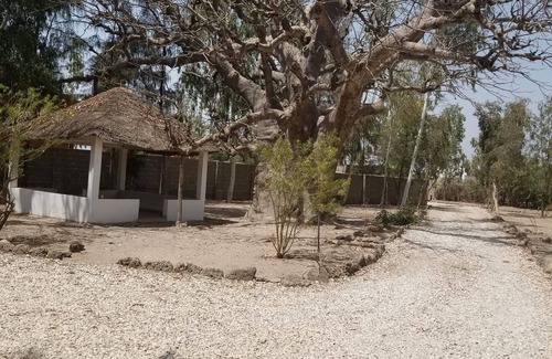 Palmarin House | The baobab house