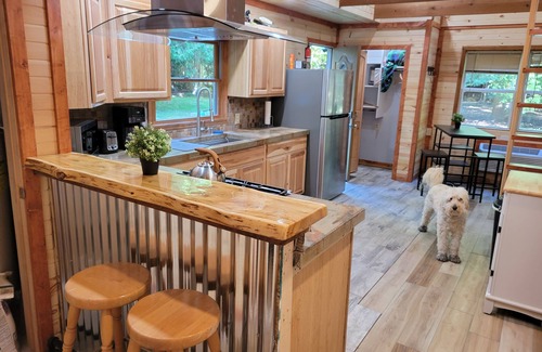 Thompsonville House | The "Bear Den" 500' Betsie river waterfront Guest home.