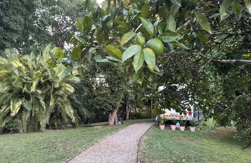 Bellingen Cottage | The Bello BigRig - Luxury Riverfront Bus Conversion, close to town, pet friendly