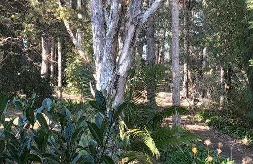 Nimbin Villa | The Blue House