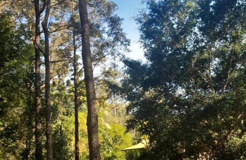 Nimbin Villa | The Blue House