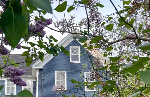Sebago House | The Blueberry House - Spacious, Family & Pet-Friendly Retreat near Sebago Lake