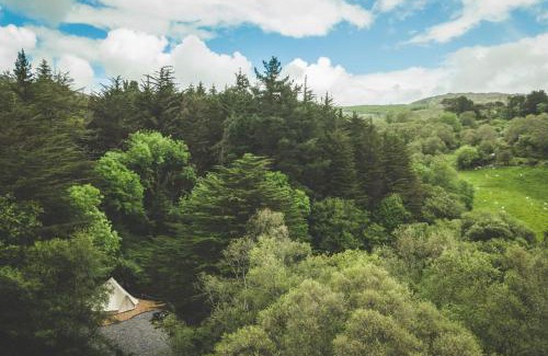 Glengarriff Other | The Botanical Bell Tent
