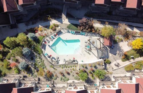 Vernon Hotel | The Castle at Swan Lake