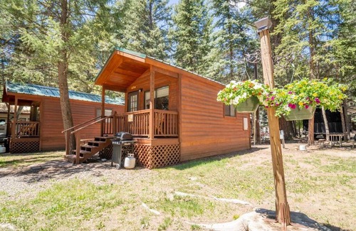 Bayfield House | The Columbine Cabin #9 at Blue Spruce RV Park & Cabins