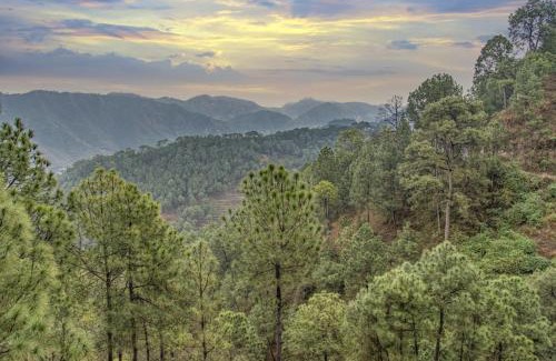 Kuthar Villa | The Corner House I Pet friendly & Serviced Villa I Open Air Lawn & Plunge Pool I Bonfire I Dance I Music I Full Party I By Exotic Stays