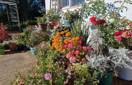 Himeville Bed & Breakfast | The Cottage on the Corner