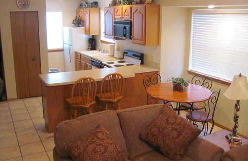 Indian Point Condo | The Cove on Indian Point next to Silver Dollar City! Beautiful View! Walk-In!